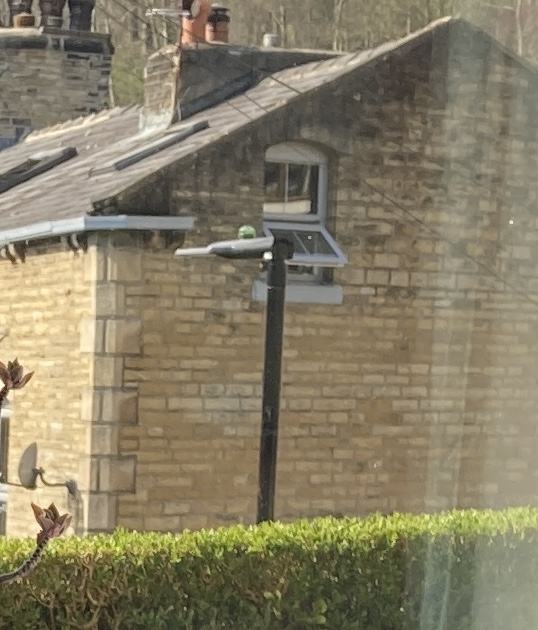 Angeldale tweet media