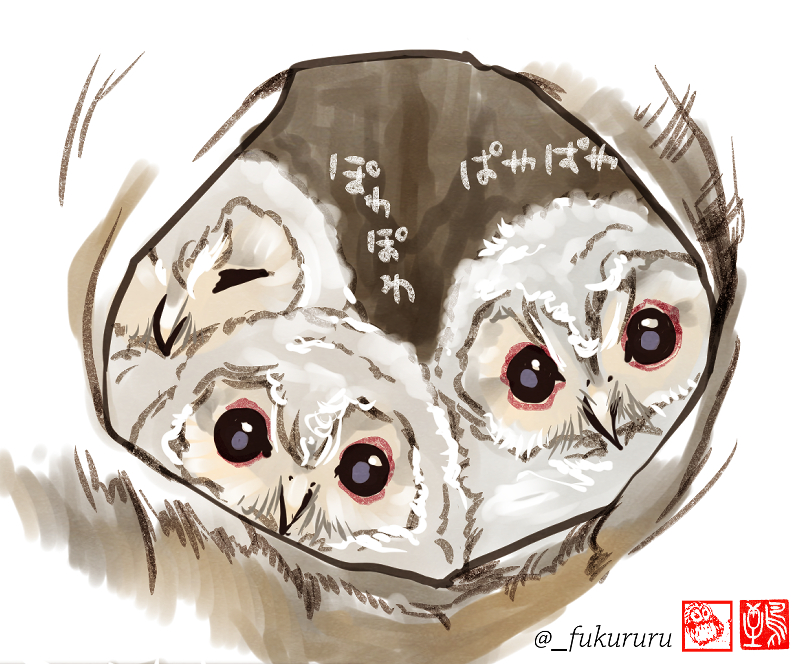 #見た人もなにか無言で3人組をあげる 🦉🦉🦉 