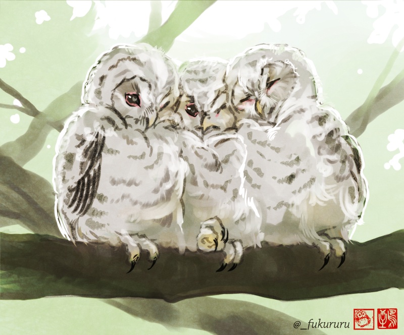 #見た人もなにか無言で3人組をあげる 🦉🦉🦉 