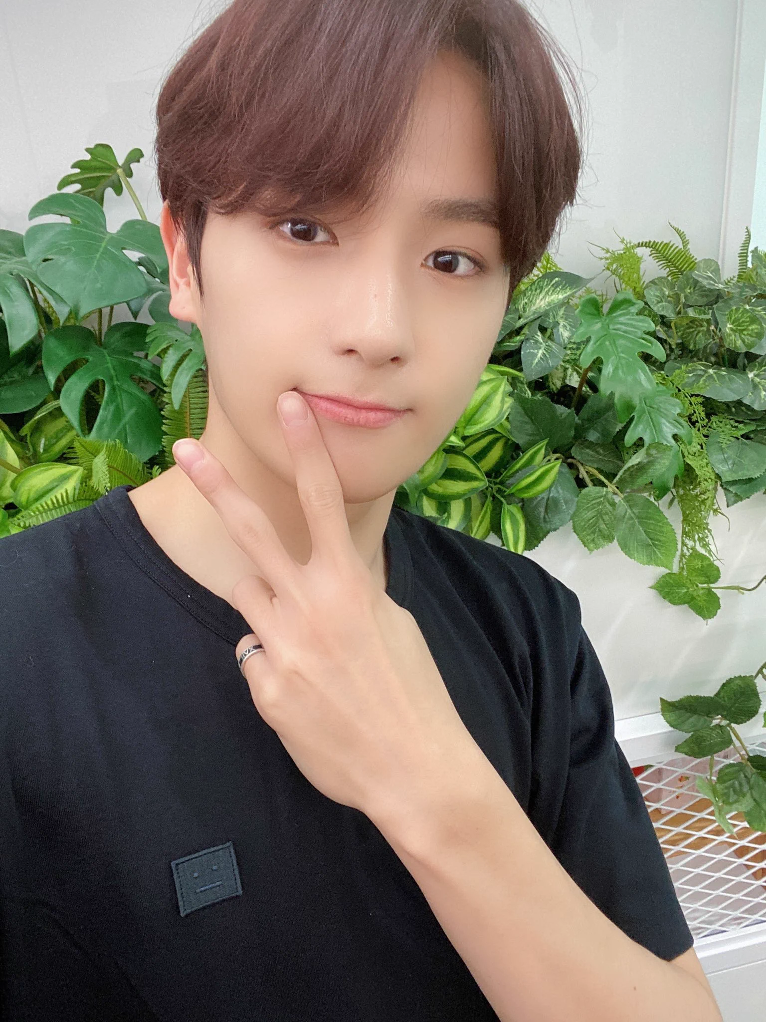 THE BOYZ JAPAN OFFICIAL on X: 
