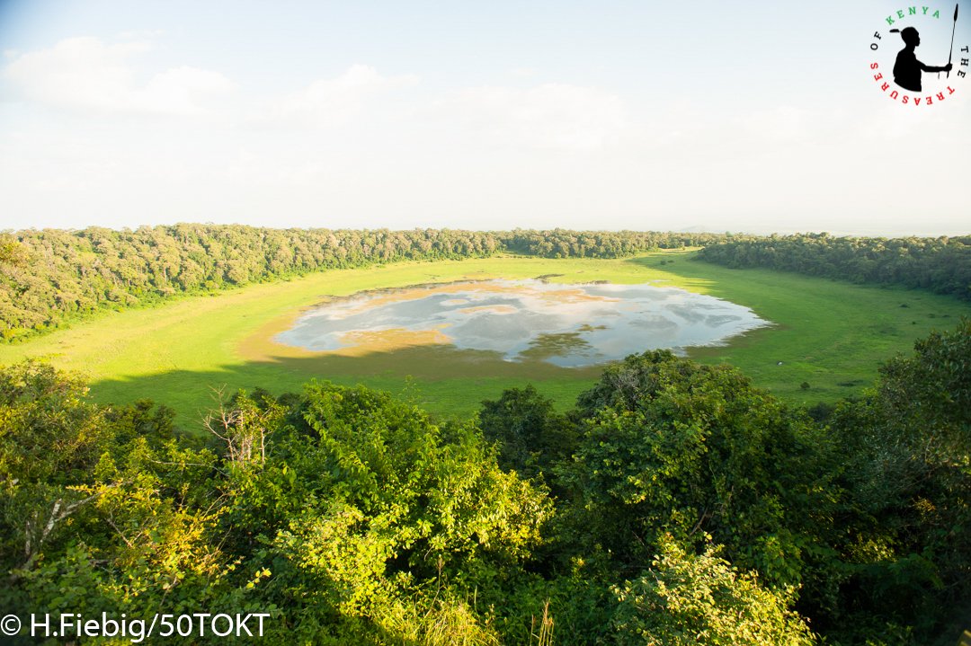 Treasures_Kenya's tweet photo. Nestled inside Gof Sokorte Guda is the amazing Lake Paradise. Did You Know? There are three crater lakes inside Marsabit NP; Lake Paradise is the second largest after Gof Bongole😍👣🐘⛺ 
#Wanderlust #ShotsOfKenya #MagicalKenya #TreasureKenya #TembeaKenya https://t.co/v44xtNK04y