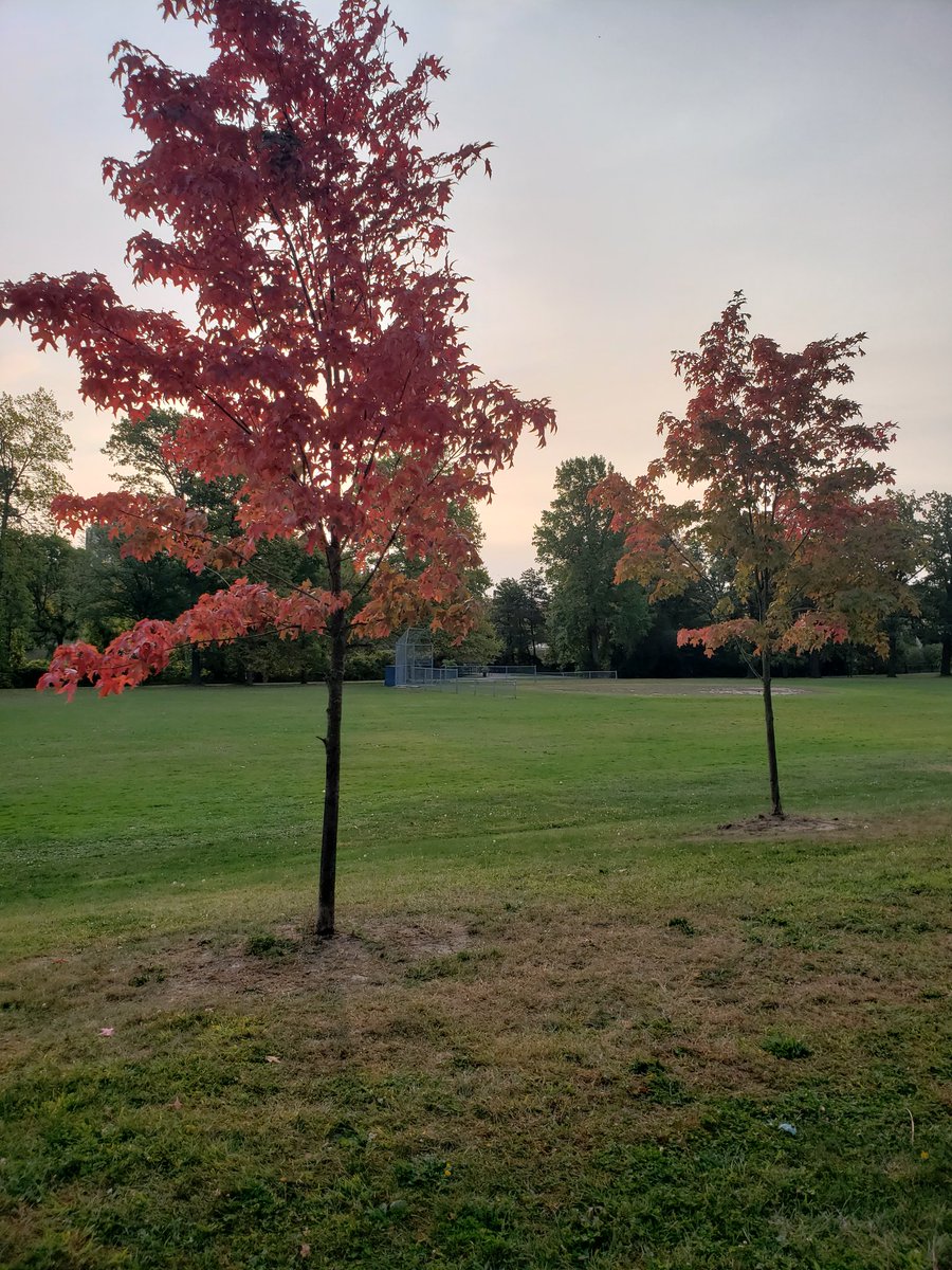 SaltedByMLB tweet media