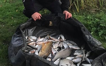 fishingticket's tweet photo. Fishing in North Wales?  Look no further than Commonwood Fishery for superb day ticket pleasure fishing. An excellent venue with first-class facilities.

> BOOK NOW: https://t.co/v5U4N9ZFZE

•
•
#coarsefishing #fishinglakes  #angling #gofishing #dayticketlakes #carpfishery https://t.co/kYOUp4bn5P
