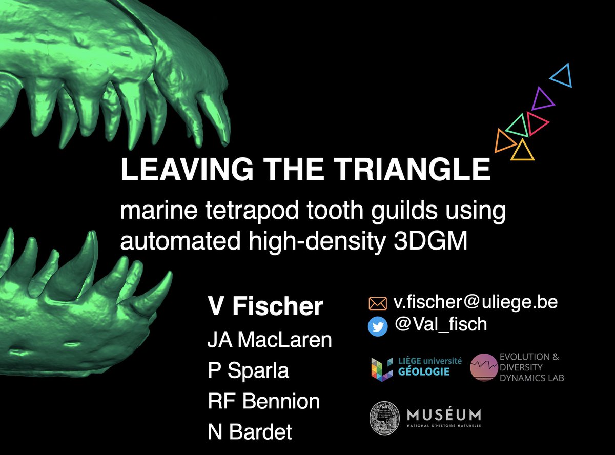 Prof Valentin Fischer S Tweet Join Me This Afternoon Secadchile To Discuss Marine Tetrapod Teeth And 3d Data With Palaeotheoryum Calymeneblue Pierre Sparla Universiteliege And Nathalie Bardet Le Museum Trendsmap