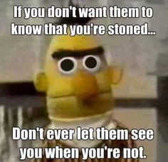 mcwilsonky's tweet photo. #StonerRules I live by this one!!๐๐๐ https://t.co/p7yC9qBtcg