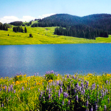 baileysmoving's tweet photo. .
Moving to Colorado?
Explore the 26 routes that crisscross through beautiful #Colorado!
Check it out here @Colorado.com
https://t.co/CQABV5rF96
#RoadTrip #OutdoorAdventure #SenicByways #MovingToColorado #Destination #GetMoving #GetOutThere #Photography #MovingDay #Adventure https://t.co/CJlxH3FHzC