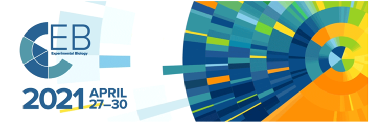GeneCopoeia's tweet photo. Experimental Biology's virtual event starts 1 week from today! Check out GeneCopoeia and get in on our exclusive offers for this special event! We will be available for live messaging, video chats, and email to answer any questions. #EB2021 #biotechnology #research #biology https://t.co/PJHGIZCkR0