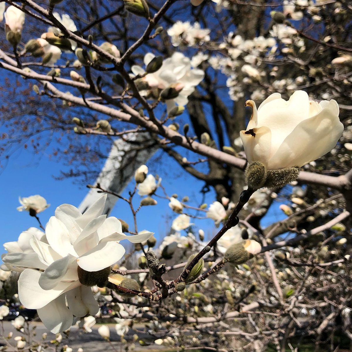 Stéphanie Rozier (@StphanieRozier1) | Twitter