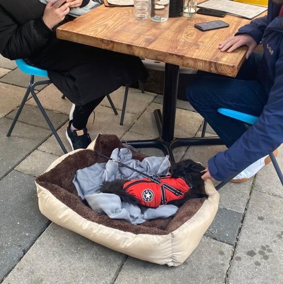 TheFaberFox's tweet photo. 🦊❤️🐶 Hey #DogsOfLondon did you know we now have dog beds available for all our four legged friends! We also have a new #dogmenu too complete with #dogbeer! 🍻Because everyone deserves a pint after #lockdown! 

#crystalpalace #southlondon #se19 #londonpubs https://t.co/YvbT1SBF86