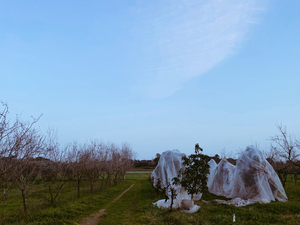 about_rome's tweet photo. 📍 Agritursmo Cobragor

Sapevi che si puo stare in campagna anche al centro di Roma? 
Cibo e vino a volontà, tutto biologico  100% 🤩🤩

🇬🇧Did you know that there is a countryside in Rome? 

#20aprile #Roma #green #GretaThunberg #tuesdaymotivations #tuesdayvibe #TuesdayFeeling https://t.co/MWZ9IsiKb9