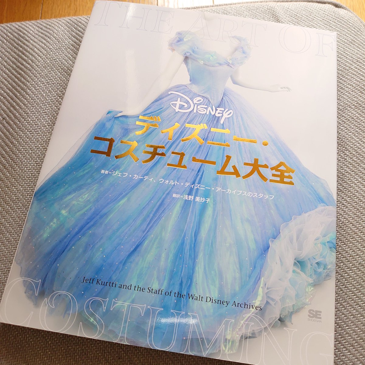 ディズニーコスチューム大全 Twitter Search