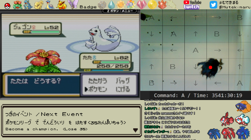 むてきまるちゃんねる Mutekimaru Channel Mutekimaru Ch Twitter