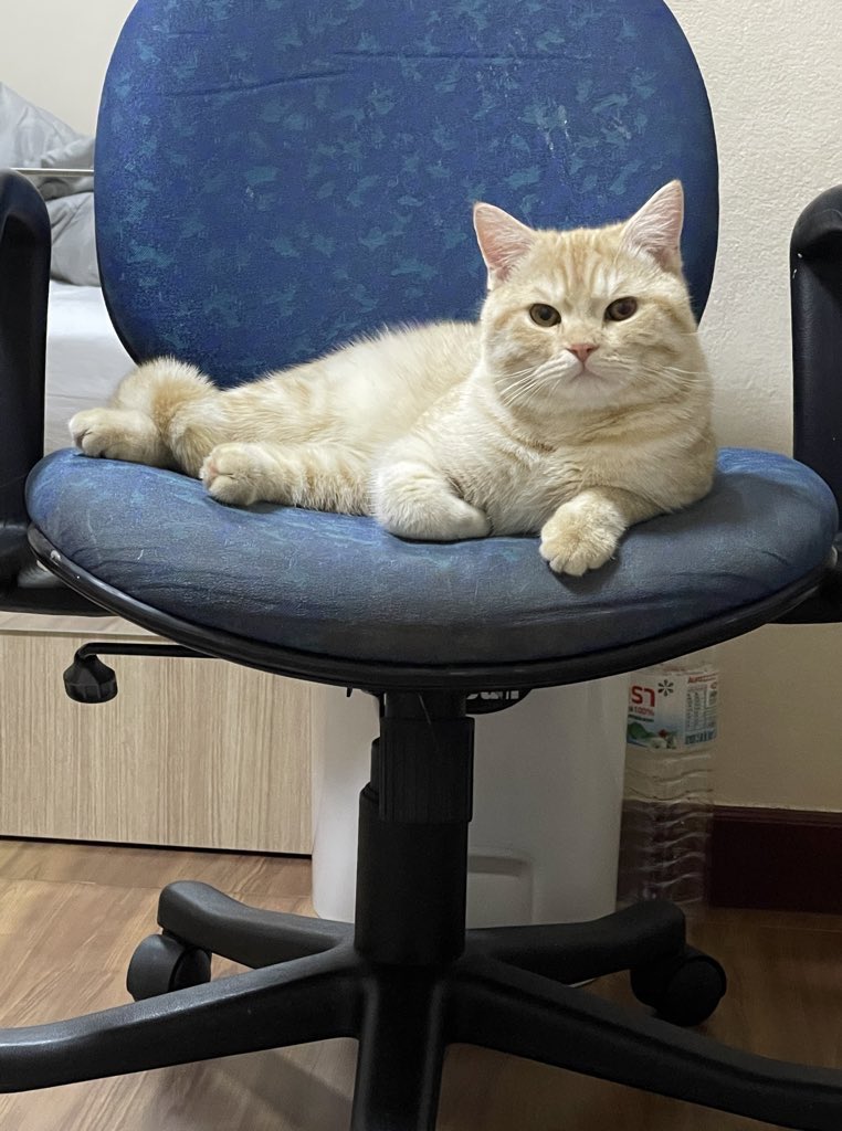 ตลกเม้น 55555556555((