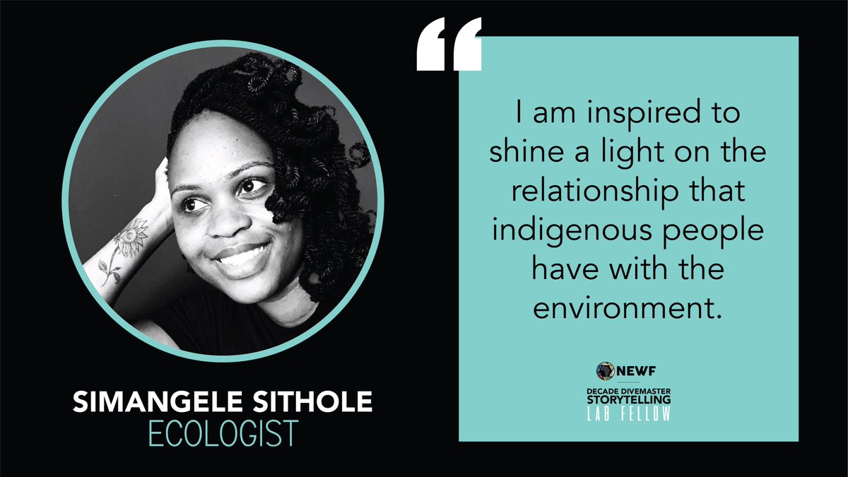 newfafrica's tweet photo. Meet #DDSL2021 Fellow
@Zimangele Simangele Sithole! I realise there are very few opportunities that encourage and highlight the contribution of young black women in conservation and this has inspired me to tell those stories... #PESP #NEWFcommUNITY https://t.co/a4UlMONRmK