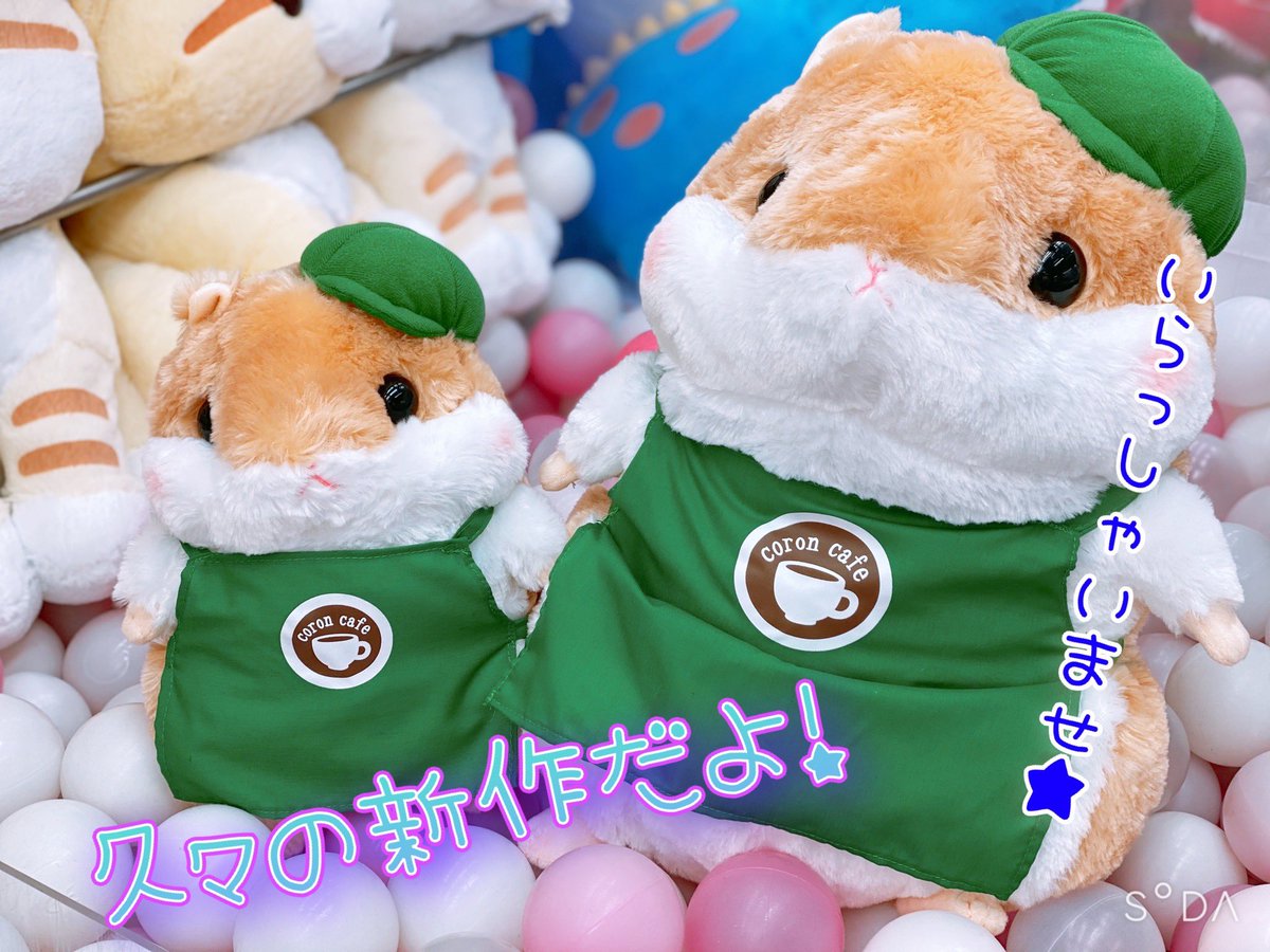 新品　ころはむコロンハッピーカフェＢＩＧ　ももちゃん　ぬいぐるみ 2025年最新】ころはむ カフェの人気アイテム - メルカリ