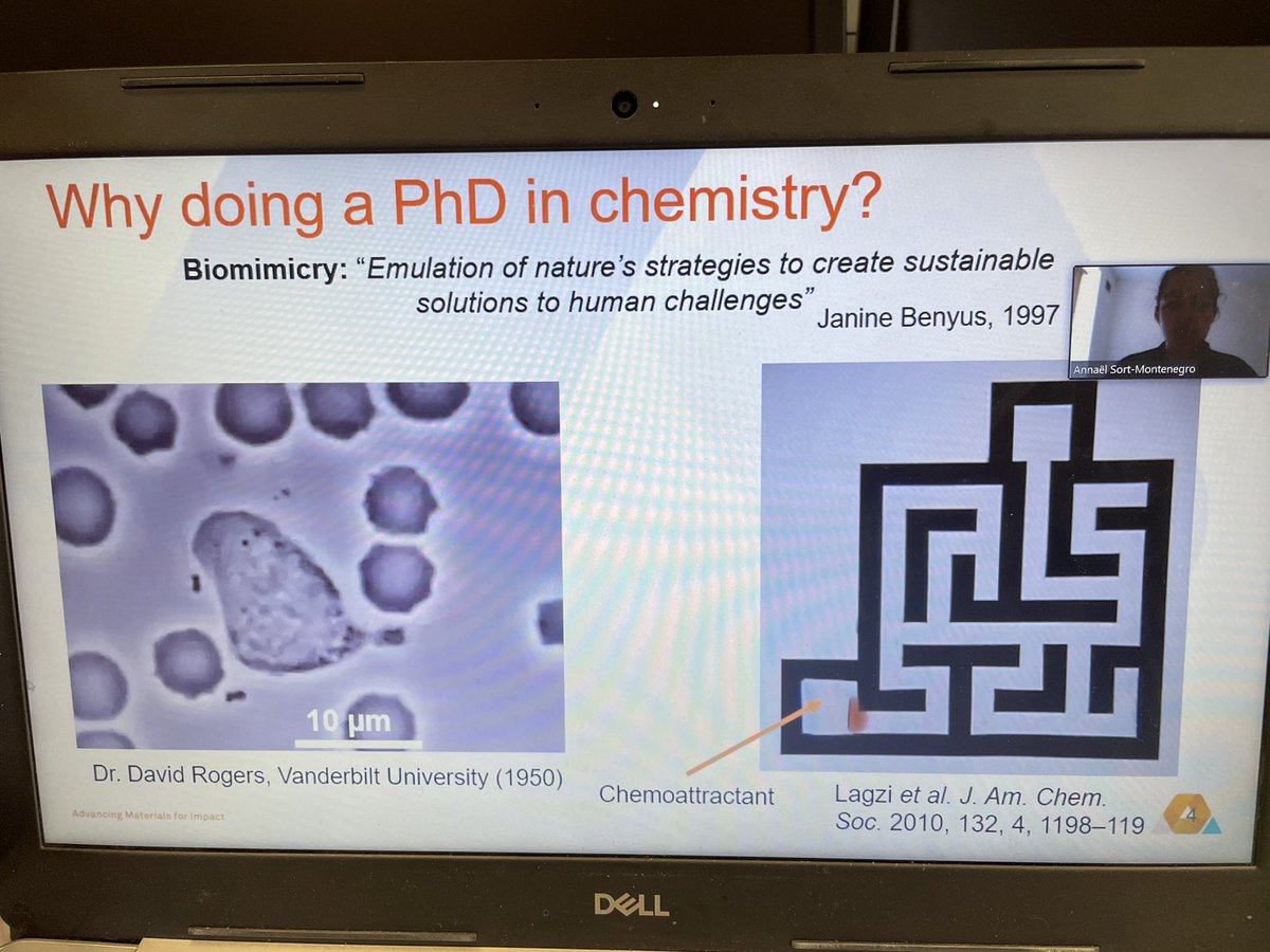 Nat95gd's tweet photo. Third and last Stories from the Lab with @Dunshaughlin_CC thanks for having us! Learning today about catalysts, fuel cells and smart materials thanks to @marta_lovss Luis and AnnaΓ«l π§ͺ https://t.co/UBySzrRo05