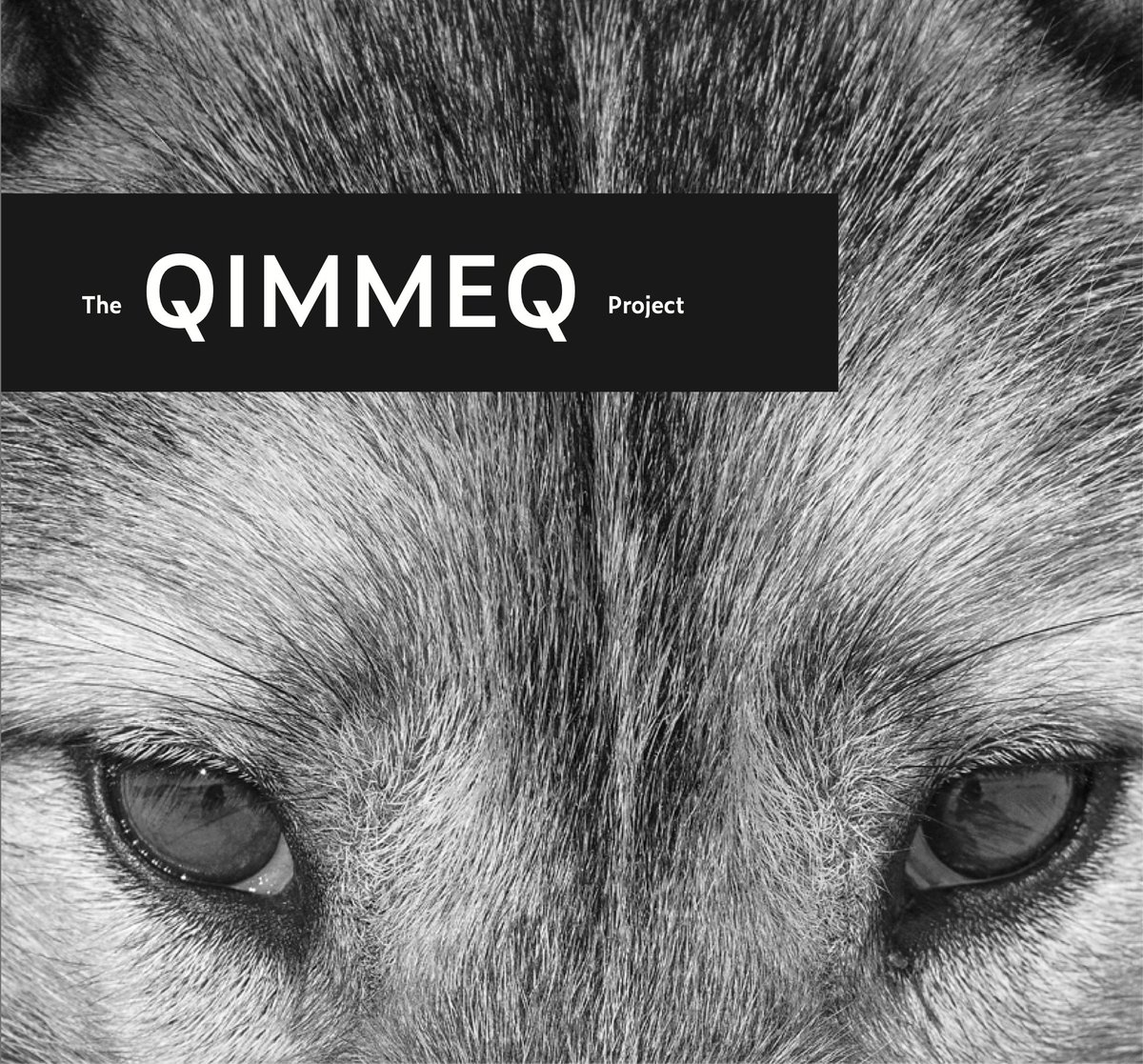nissenjo's tweet photo. A collection of the #Qimmeq videos on the Greenland sled dog @Ilisimatusarfik @NHMuseum_Bergen

https://t.co/joN9cTtyJi https://t.co/UBlub3fS8e