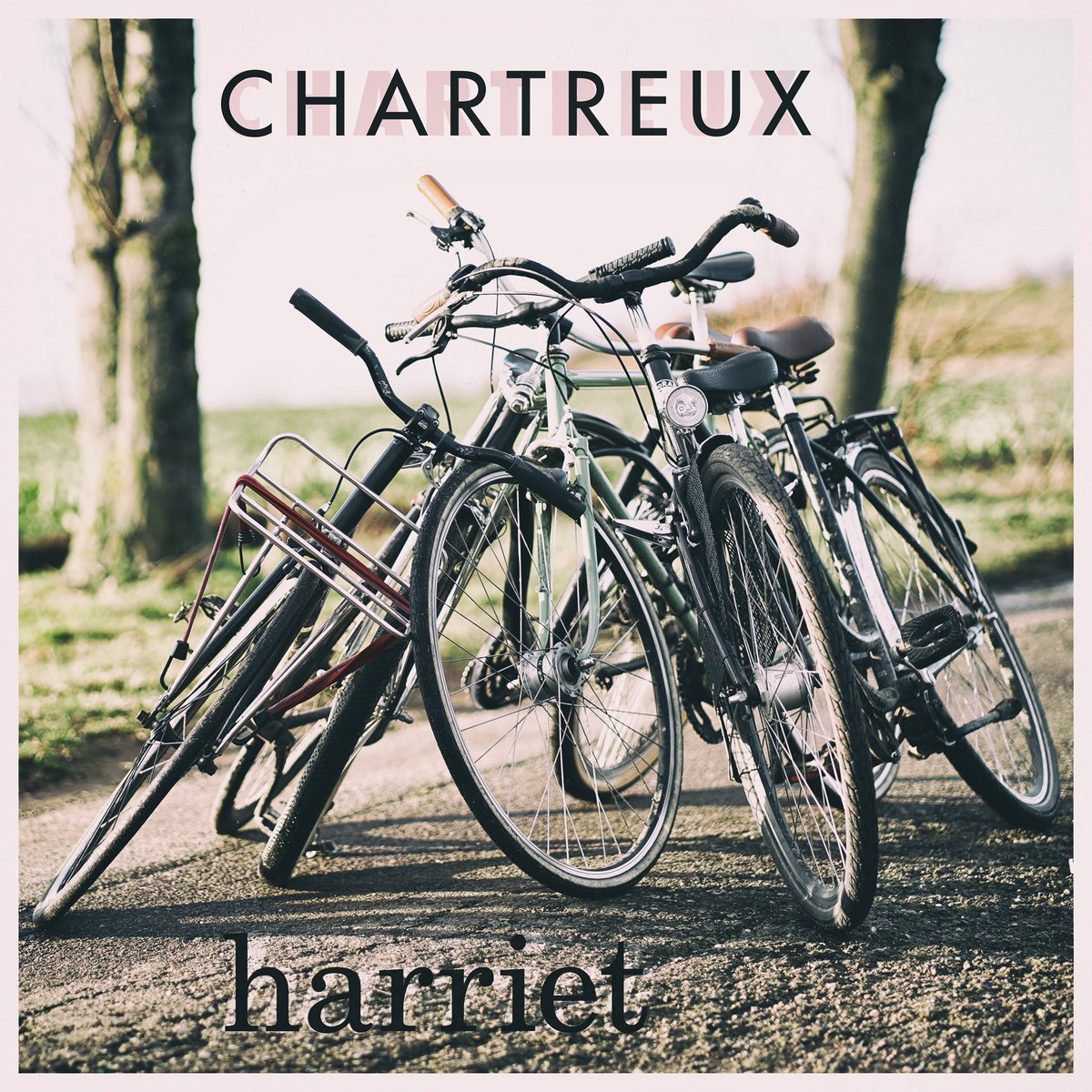 New chartreux song and Video! Friday! #chartreux #chartreuxpunx #bikepunx #newvideo #newsingle #hardcorepunk