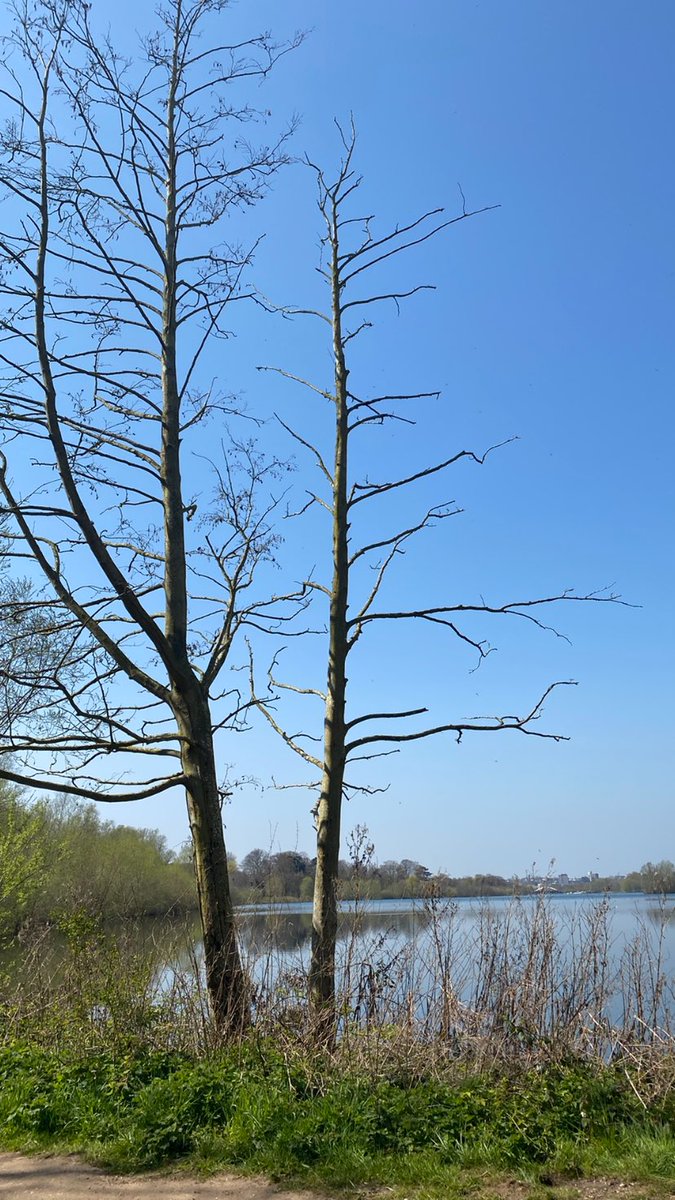 Great Walk &amp; Talk meeting alongside the wildlife and beautiful landscape @WhitlinghamCP #EmployeeExperience