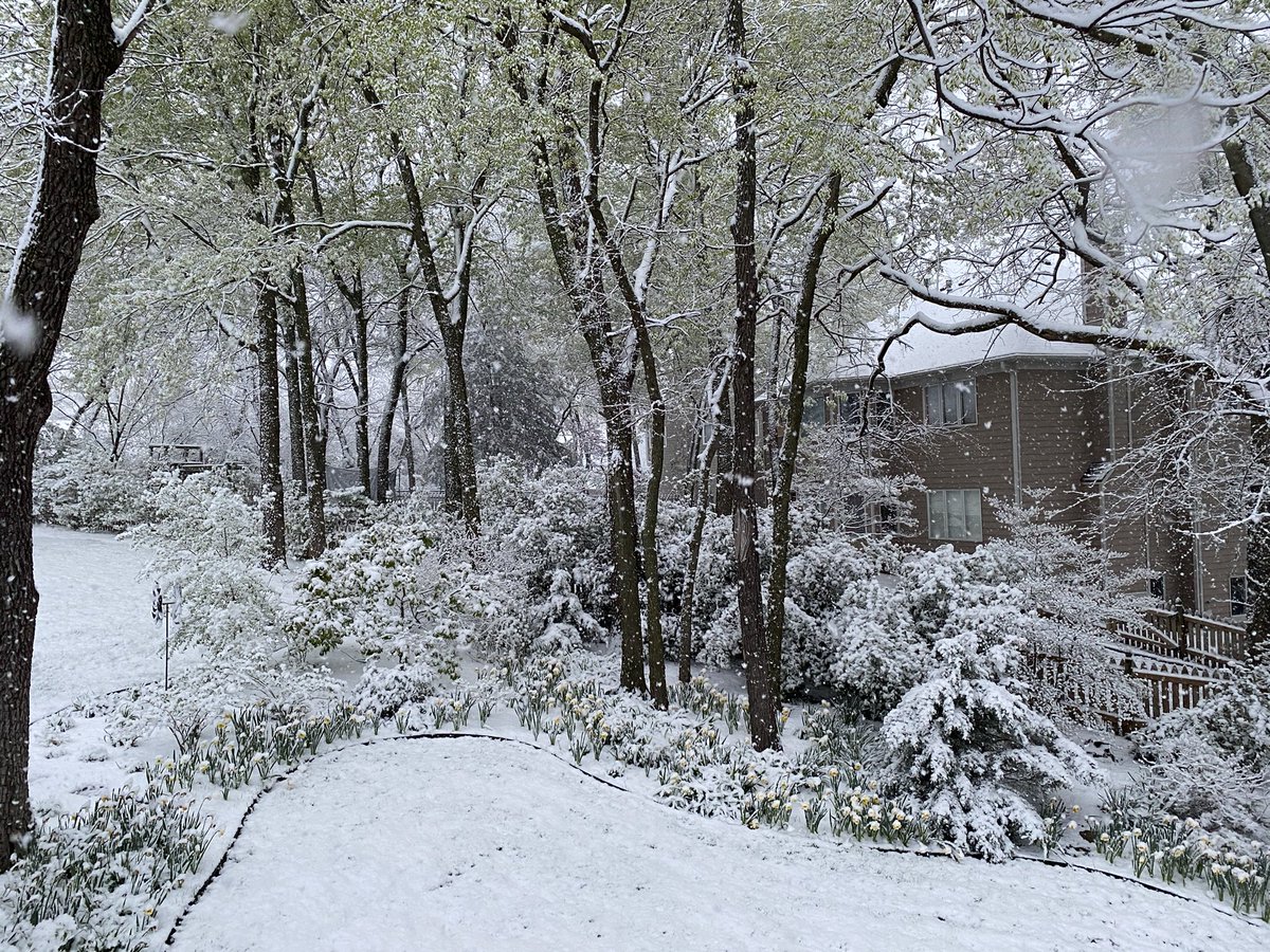 Sam_Porritt's tweet photo. How it began. How it’s going. #SpringInKansas https://t.co/Cn3CL00YkX