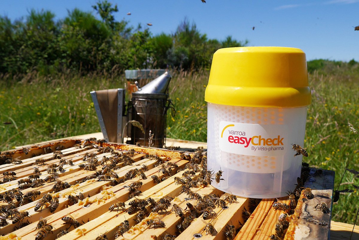 ⛔️ Stop #Varroa ➤ EasyCheck®
✅ One thing is sure.
This tool will become your best partner in counting #varroamites.
As a #beekeeper, why should you monitor the infestation level of your #hives? bit.ly/3xc64KL