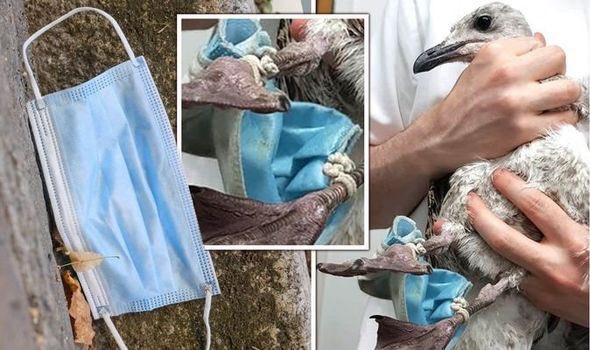 GGabolin's tweet image. Masks work period. They are great for polluting the environment! They also help dentists and surgeons from getting patient body fluids in their mouths not much else! 

#scam #COVID19 #covid #wakeup