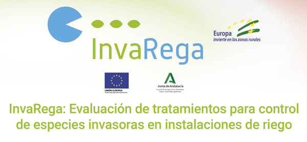 CuadernoAgrario's tweet photo. 👩🏻💻Notable éxito de la jornada final de presentación de resultados de #INVAREGA💧
➡️https://t.co/ekQM4jFCrw vía @FeraguaRegantes
👉🏻@AgriculturAnd @MedioAmbAND @UniHuelva @CHGuadalquivir @grupocrsur @CRPalos @valleinferior https://t.co/ldwTnOUxiq