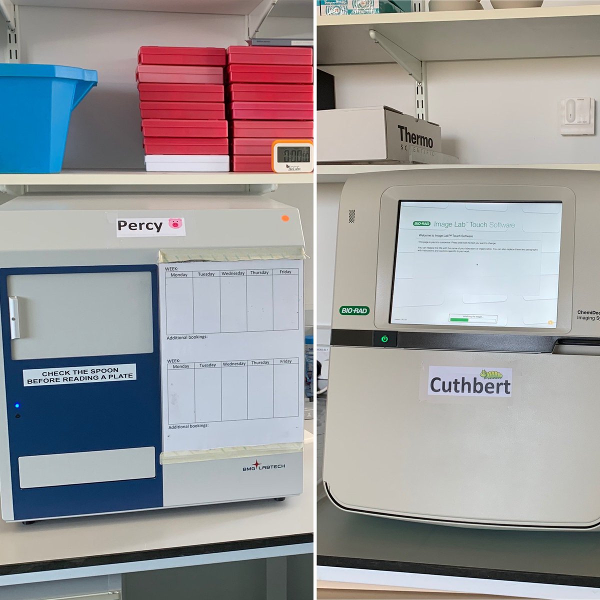 klines500's tweet photo. 24h after arriving in our #laboratory & #cuthbert the @BioRad #chemidoc seems to be getting on well with #percy our @BMGLABTECH #pherastar. Clearly these names have nothing to do with food items from @AldiUK or @marksandspencer 🤔🐛 🐷😆 https://t.co/YOBj0LEzrv
