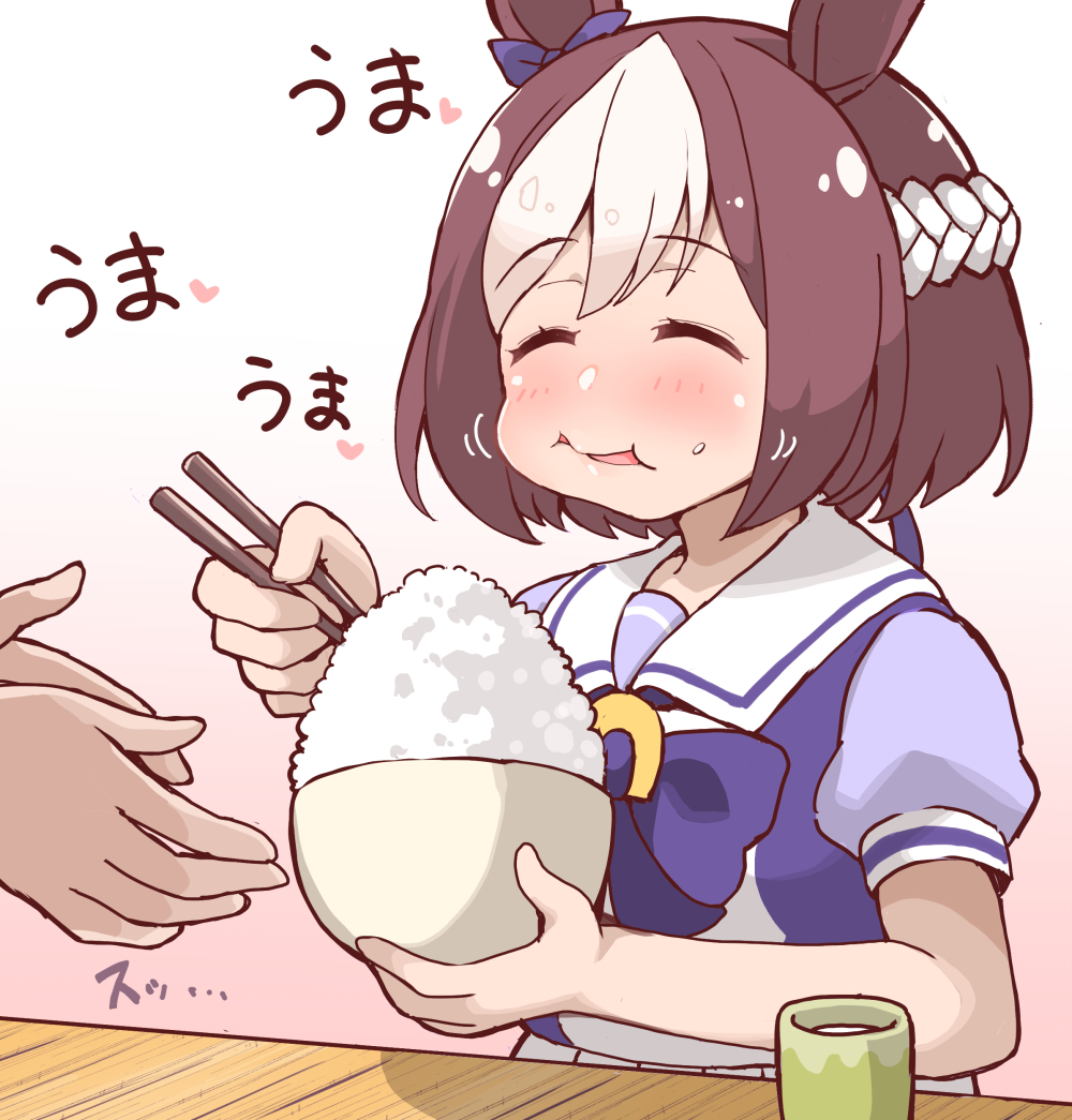 ウマ娘イラスト0421 セイウンスカイ ニシノフラワーの馬主さんである西山茂行氏がブログでウマ娘に対してコメント 2ページ目 Togetter