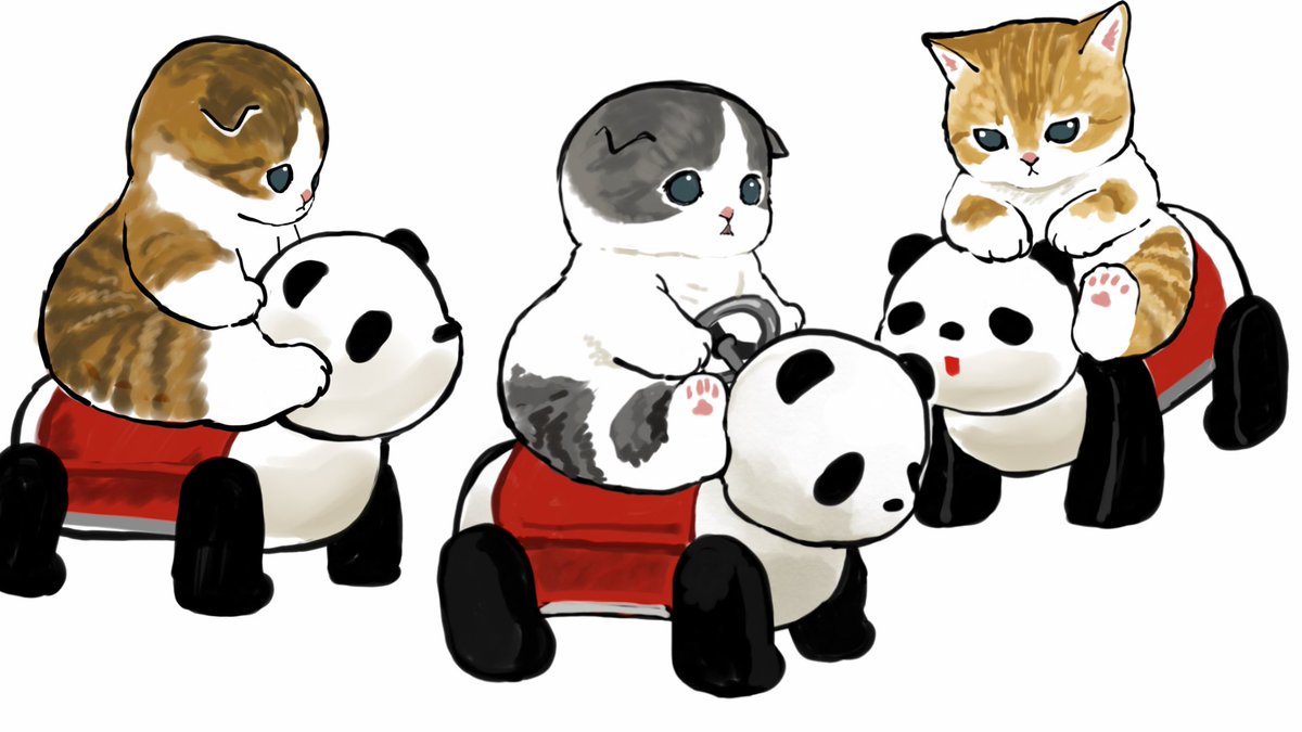 panda no humans white background simple background cat animal animal focus  illustration images