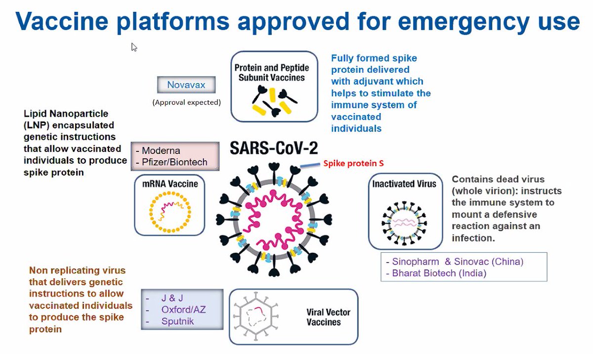 Dr Krishna Prasad summarizes "the 4 main vaccine platforms that have percolated to the top."