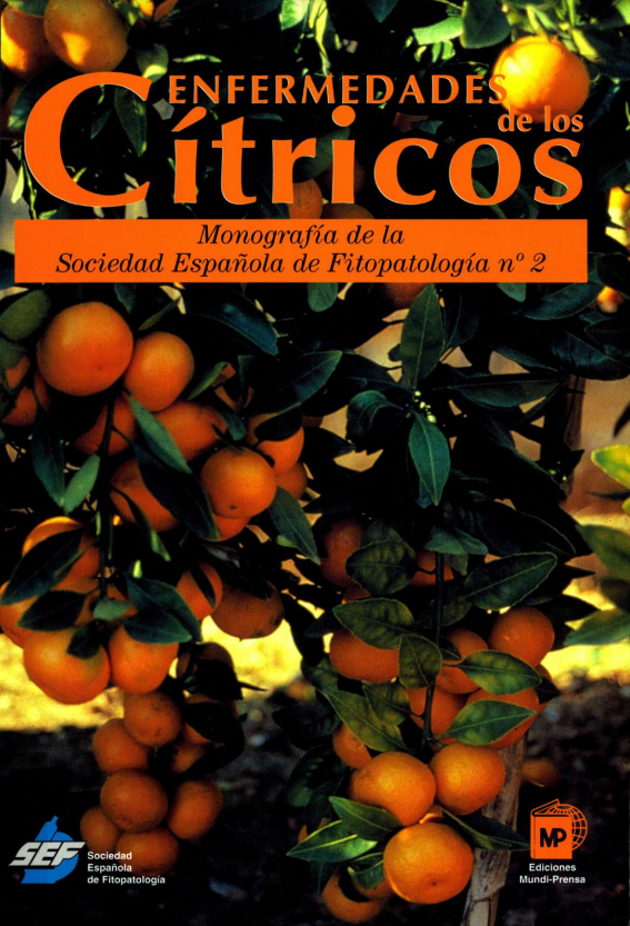 GVAivia's tweet photo. Disponible en formato digital la monografía “Enfermedades de los cítricos” https://t.co/nVF9BS0X3g

ℹ️ Doce investigadores del IVIA participaron en su elaboración.

📄Puedes acceder a la obra completa en ReDivia, el repositorio institucional del IVIA https://t.co/DYiOidas0C https://t.co/VyfPQod4v6