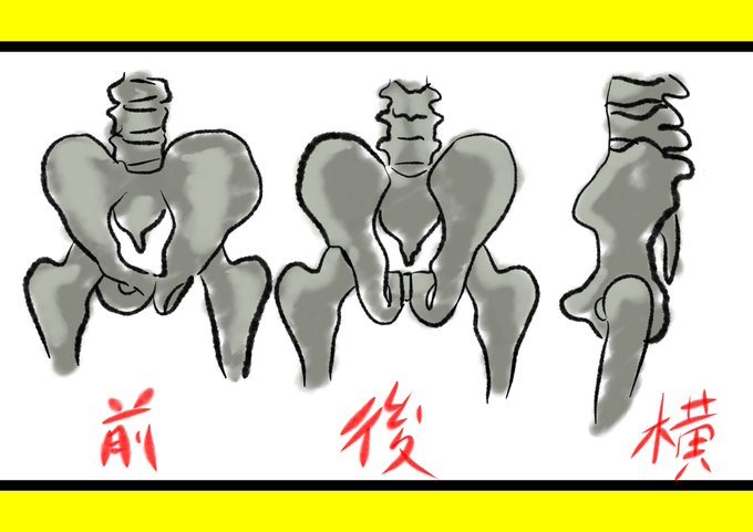 骨盤のtwitterイラスト検索結果 古い順 骨盤のtwitterイラスト検索結果 古い順