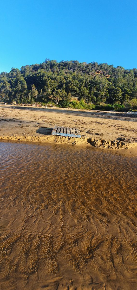 PredictionsSea's tweet image. 