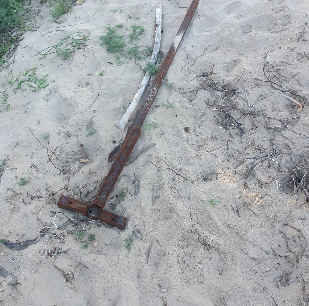 PredictionsSea's tweet image. 