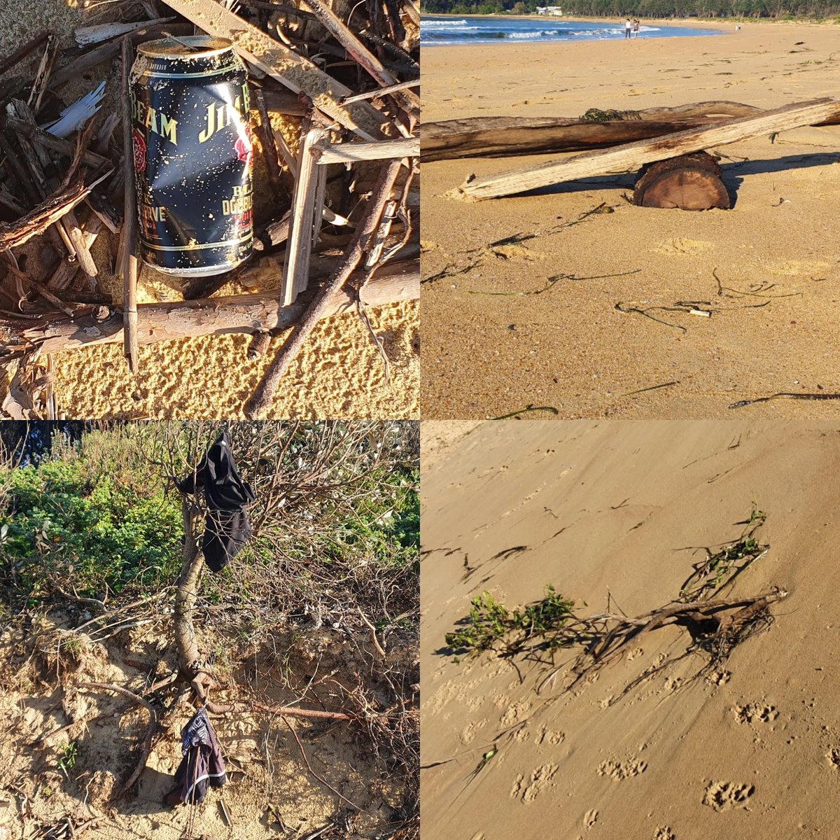 PredictionsSea's tweet image. 