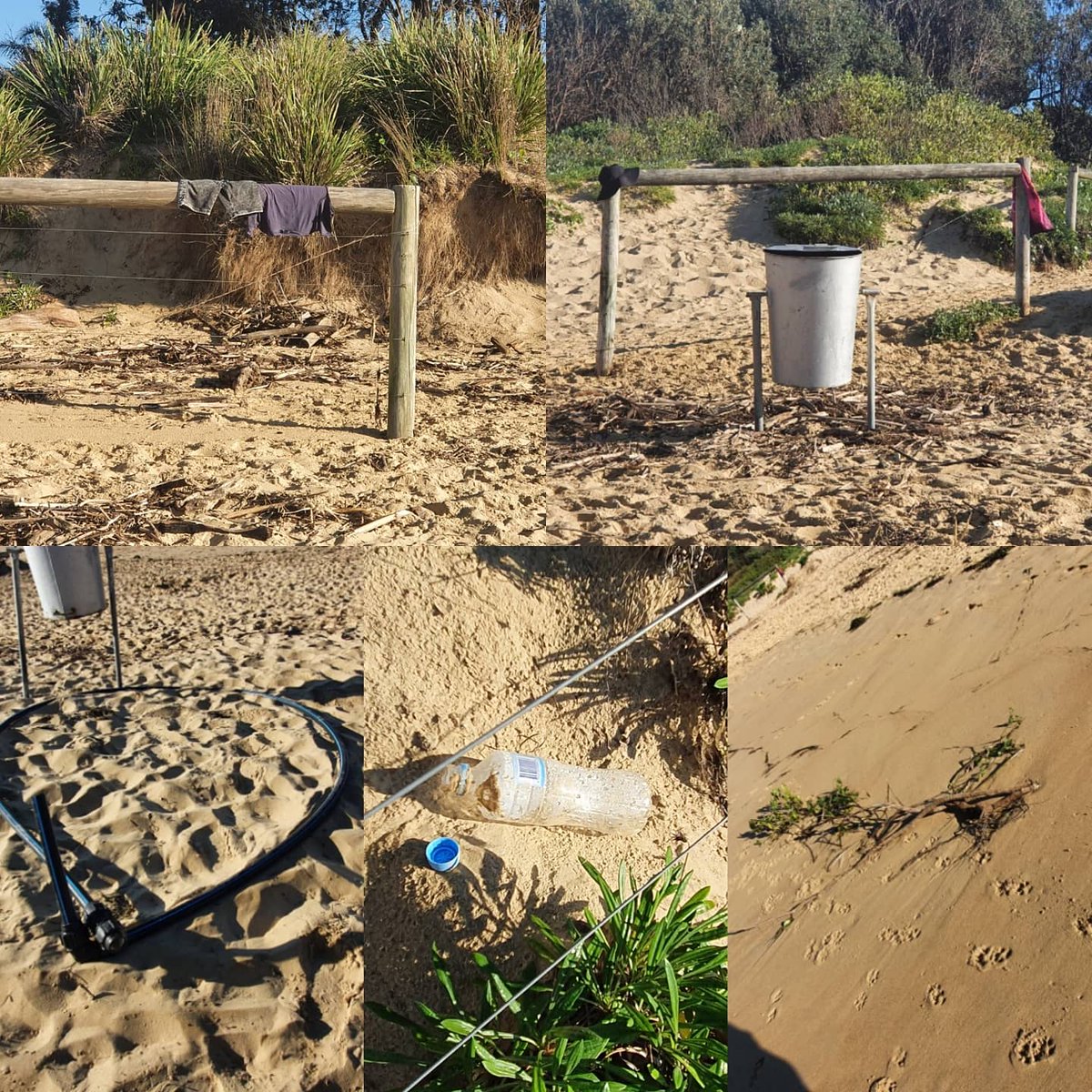 PredictionsSea's tweet image. 