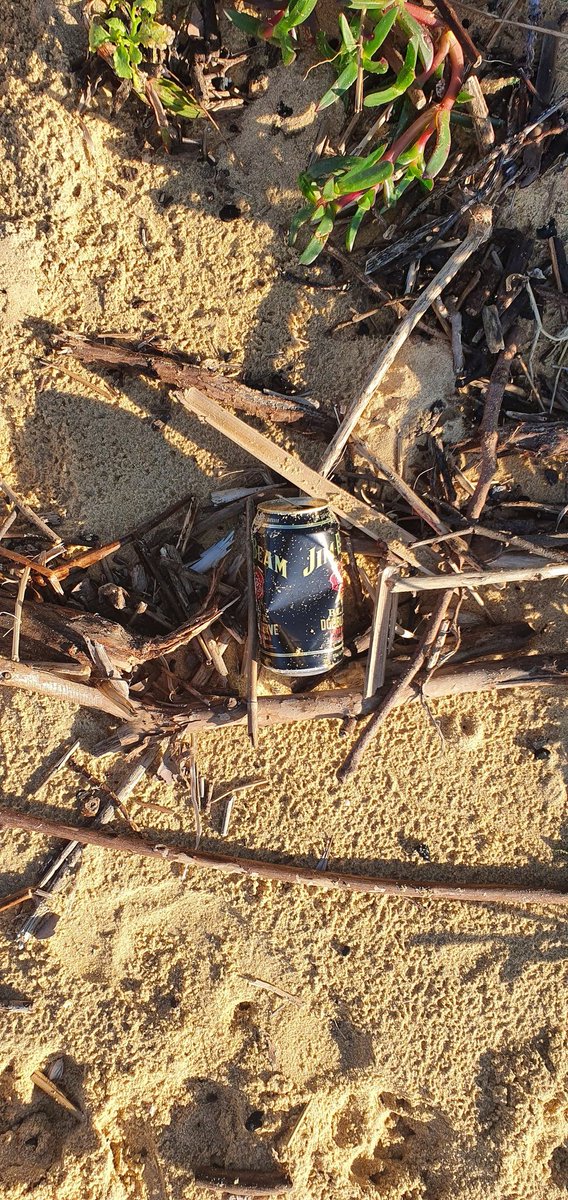 PredictionsSea's tweet image. 