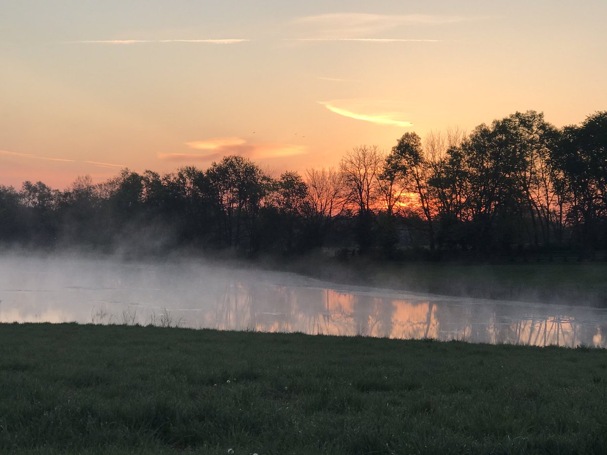 racing_fillies's tweet image. Good morning!!!  #sunrise #farmsunrise #pondreflection #kentucky #kywx #northfayettecounty @Kentuckyweather