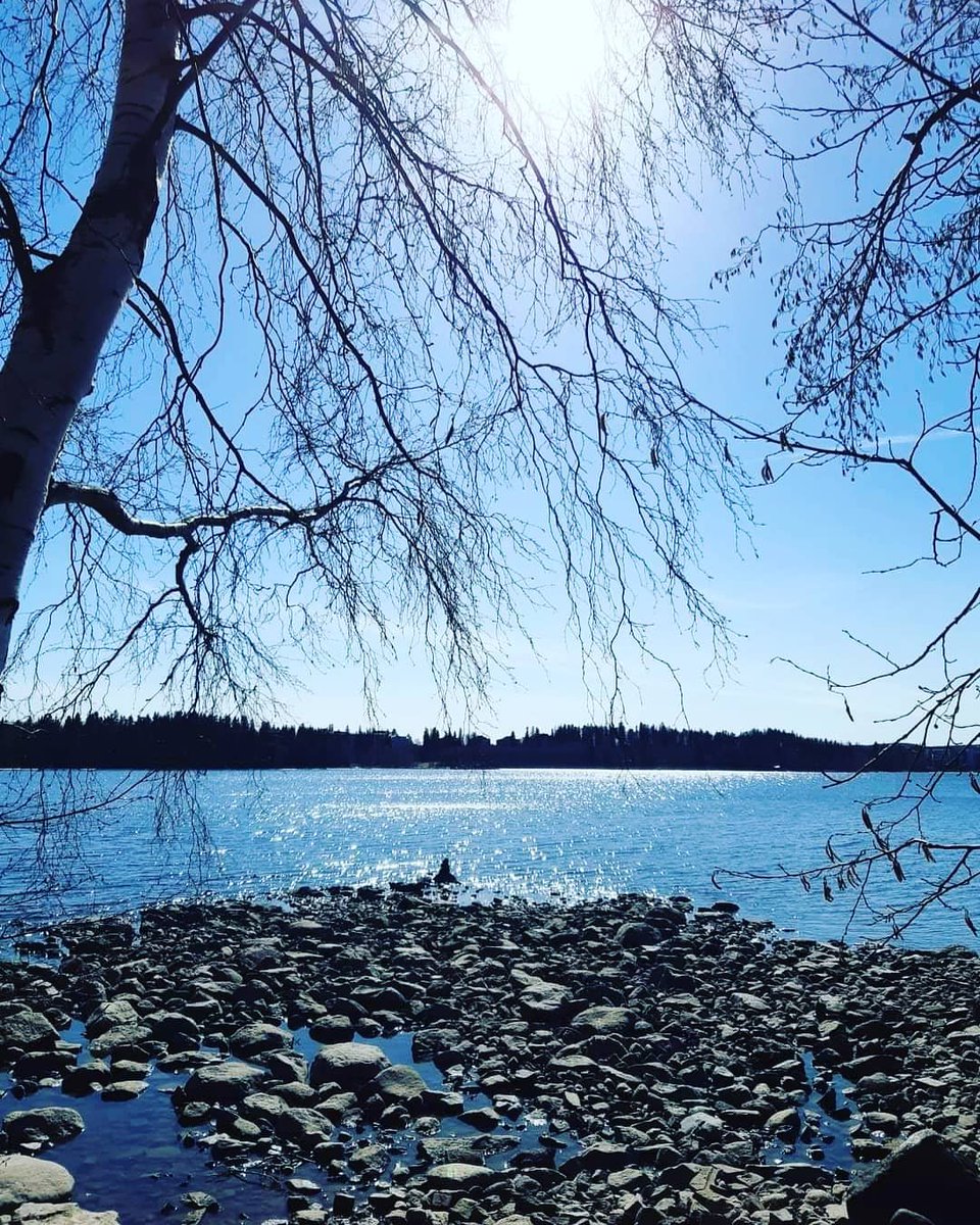 mmiisa_'s tweet photo. Feels like summer 🌞😎

#SummerVibes https://t.co/3ism3zqxre
