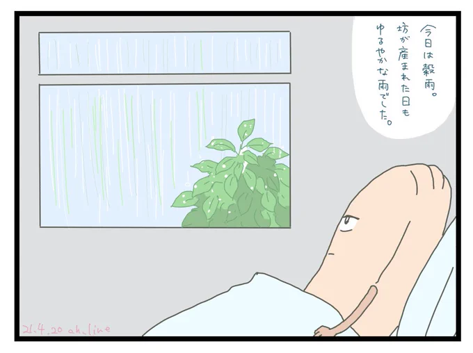 本日は穀雨そして坊の生まれた日でした。手術室のラジオからおもひでぽろぽろの主題歌が流れていたのを覚えています。(何故か聴きながら産んだ?)当時は色々パニックに襲われながらの出産だったので、思い出には出来ないかもー!坊は可愛いけど!!と思ってたけど、大体のことは思い出になる。 