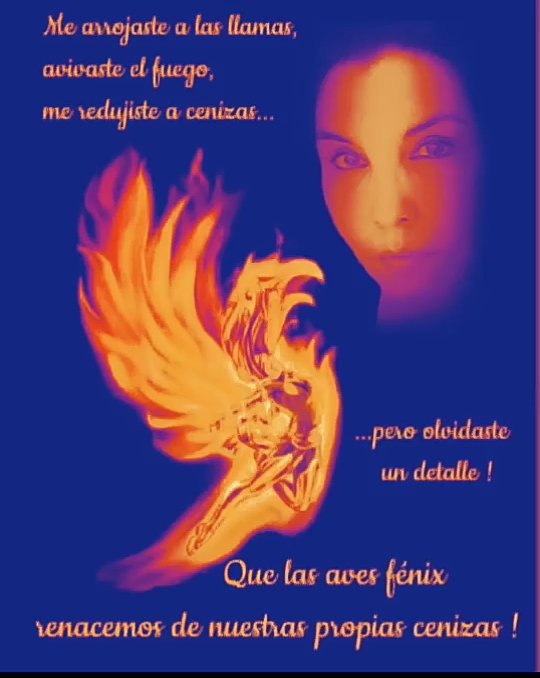 cuwa40's tweet image. 