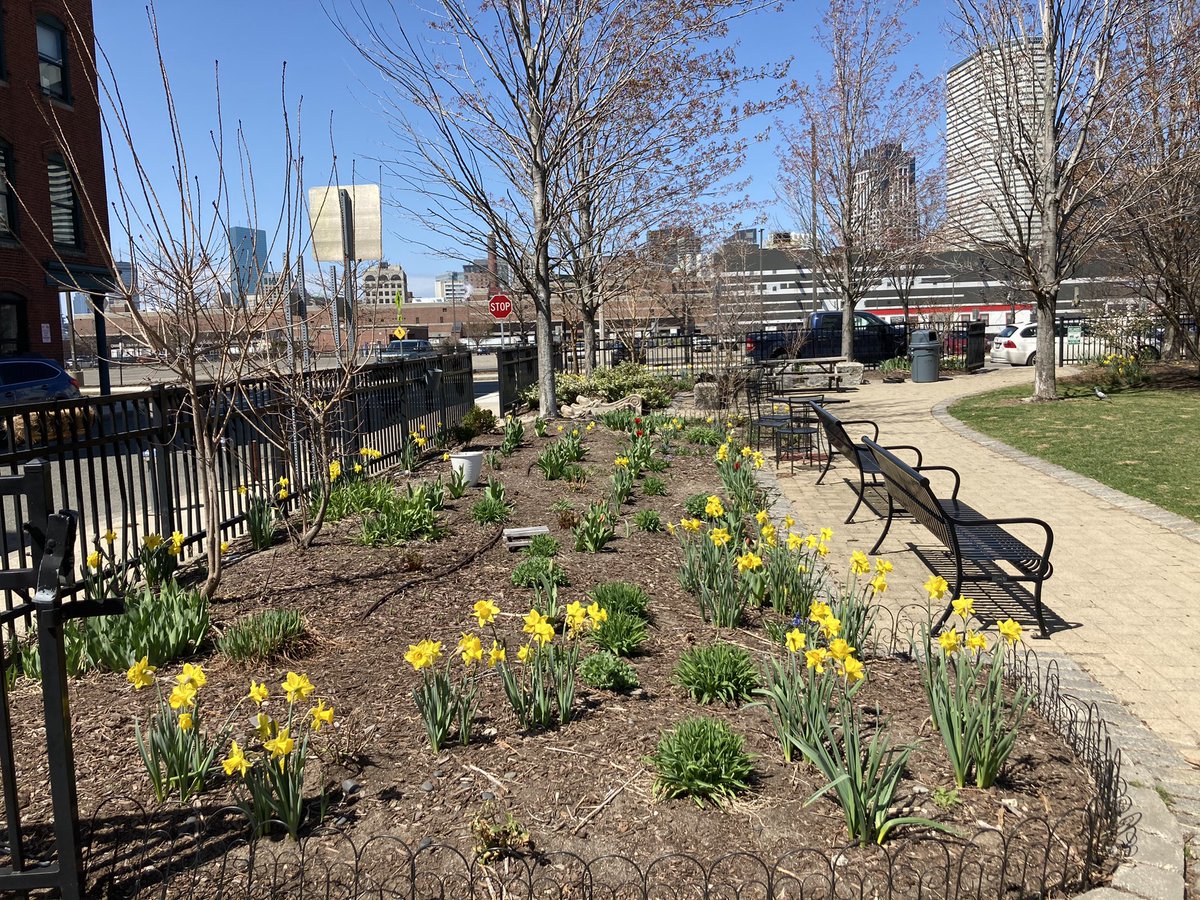 wormwoodfriends's tweet photo. @BostonParksDept @CityOfBoston #bostonblooms #wormwoodpark #AStreet https://t.co/NlTdPYPAo8