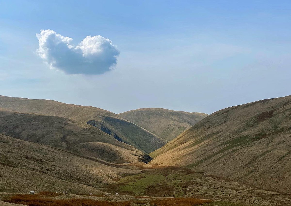 oldcrofthouse's tweet photo. After nearly 10 years of walking in The Howgill Fells we’re still amazed by its unique beauty. Today we explored it’s more dramatic side.
#carlingillbeck #blackforce #thespout #waterfall #waterfallwalks #howgillfells #walkingcumbria #thegreatoutdoors #yorkshiredalesnationalpark https://t.co/1XGFLmvmGT