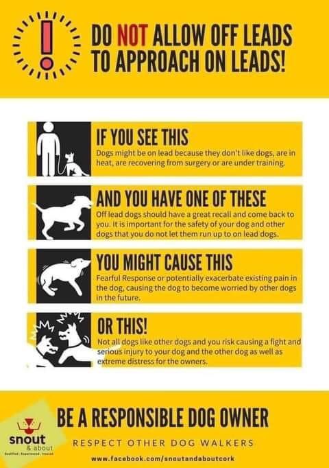 FOSTERFIRST1's tweet image. #FosterFirst 🐾💚