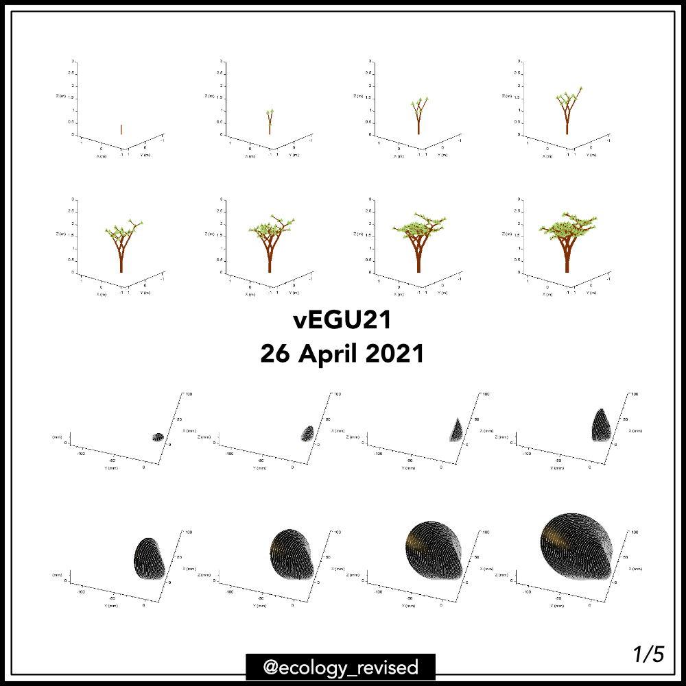 2eAvis's tweet photo. 1/2
Confronting shell #morphodynamics and #sclerochronology: leaving behind phenomenology to move toward integrative laws of growth, EGU21-15863, https://t.co/RUZiflQar8, 2021.
#vEGU21 #newresults #shellscience #climatescience #archeology #paleoecology https://t.co/FQRiM0aaGg