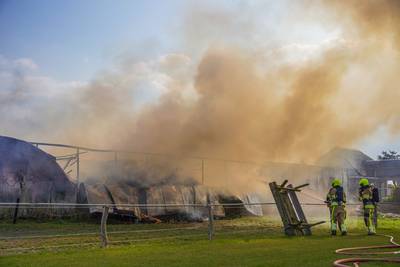 Grote brand in stal in Bemmel: acht paarden en veulen van 5 dagen oud veilig..