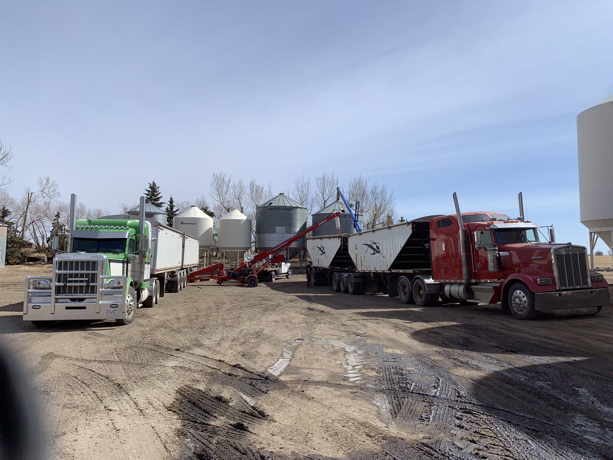 BCSBethM's tweet photo. Efficiency at its finest!  

@CurtisLittlewo1 @Bayer4CropsCA 

#treatinseason #RaxilPro #STORM #Plant21 #WestCdnAg #TeamBayer #AskSeedGrowth https://t.co/MvtKvMNXiE