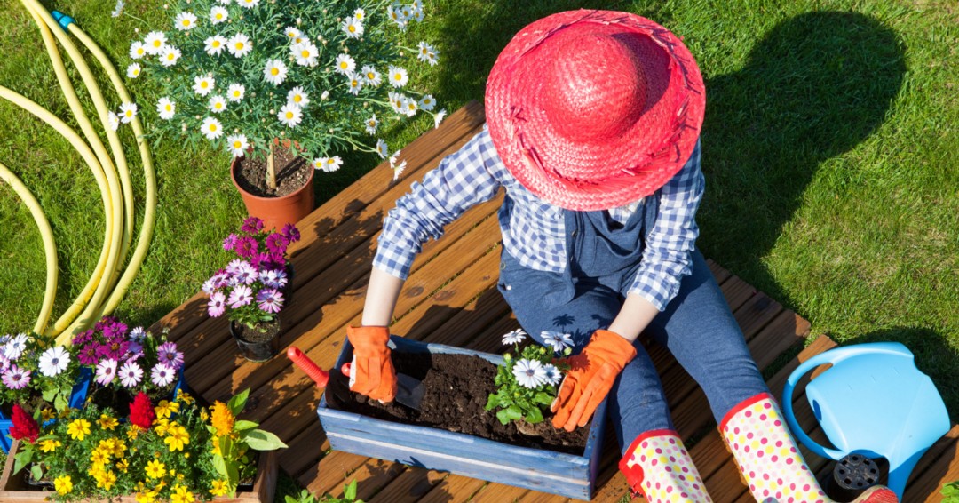 MountfieldMower's tweet image. #Mountfield #AprilTips

Herbaceous #perennials are pushing fresh shoots through so lookout for slugs &amp;amp; snails. 
Towards the end of the month you can plant up #hangingbaskets &amp;amp; containers. 
It’s time to feed indoor #plants. Use a slow release ‘season-long’ #fertilizer for ease.