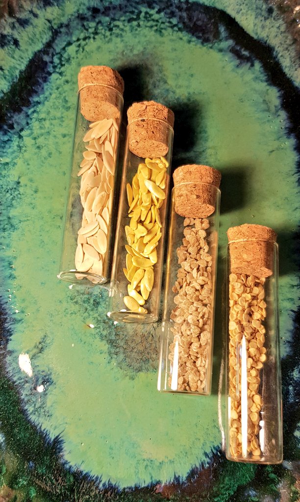 27 Nisan 2021 saat 21:⁰⁰ a kadar bu twete RT eden 3  takipçimize  görseldeki ATA tohumları çekilişle  hediye ediyoruz.🐞  ( Acur - Köy tipi  Domates - Tatlı Biber  - Salatalık )